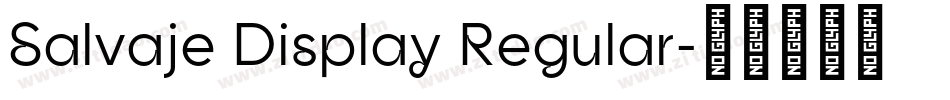 Salvaje Display Regular字体转换